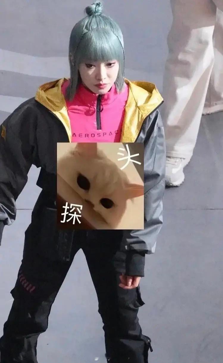 宋茜星河入梦路透 