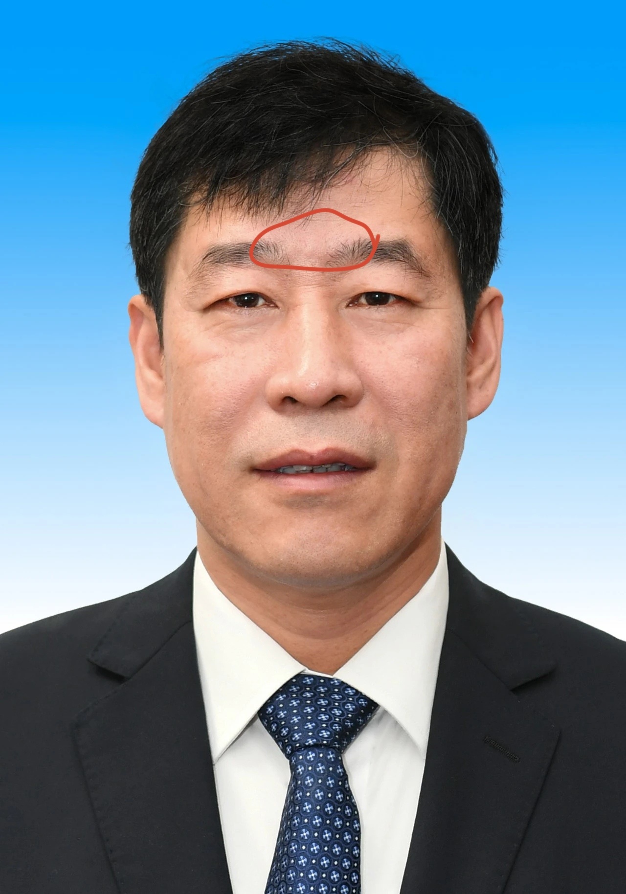 有些人单纯想做官，有些人单纯想为人民服务。 