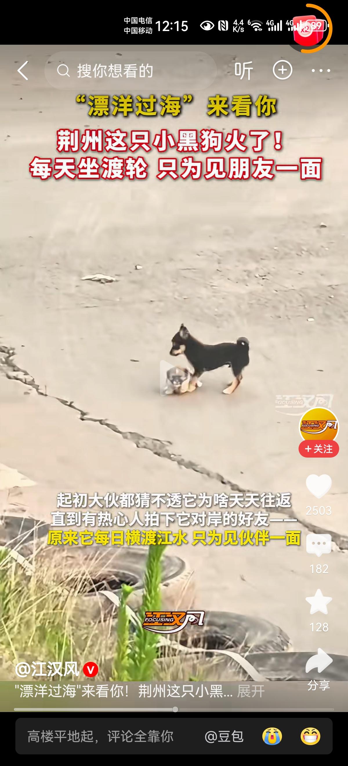 活的连狗都不如！
我说这句话，大家听了心里什么感觉？是不是很反感？
每天坐轮渡，