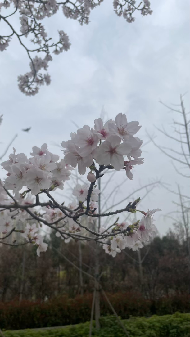 代你看我看过的风景 郑州·文化北路/贾鲁河桥(路口)