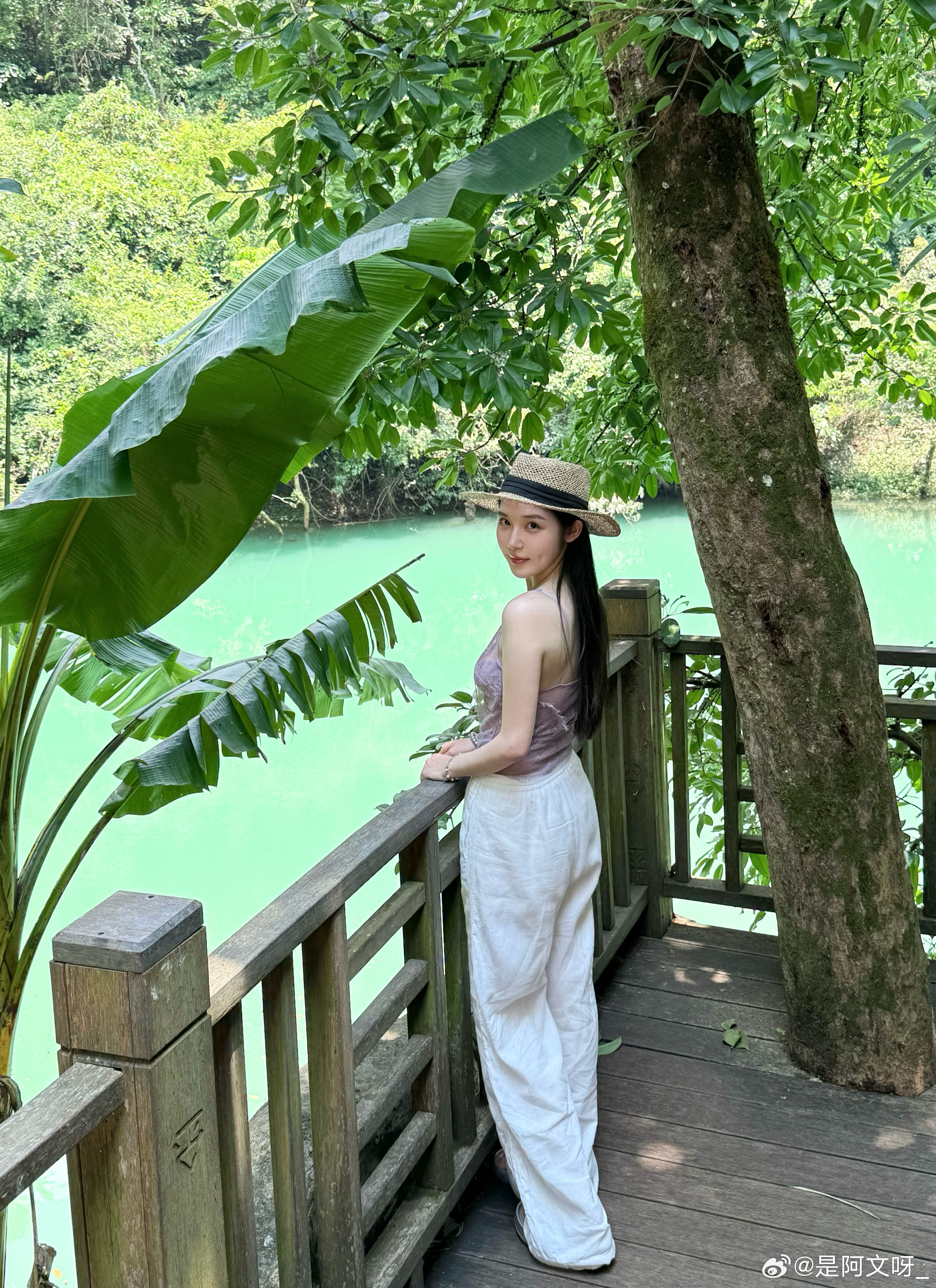 慢节奏的绿调  ​​​