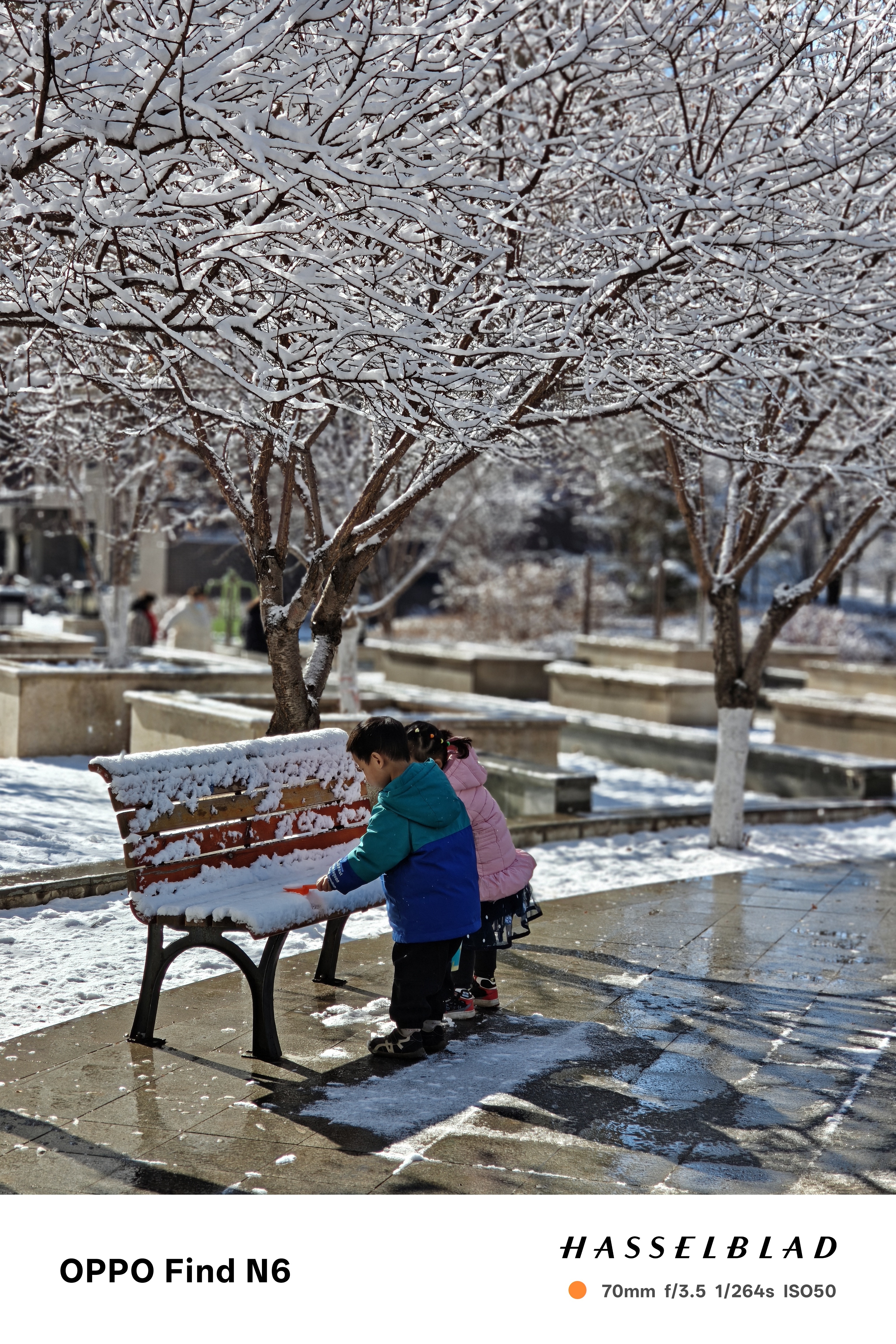 全球首发OPPO Find N6拍摄罕见雪淞。实拍照片。南方几乎见不到，北方也很