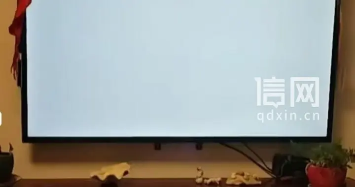 消费者买的康佳云尚电视用了俩月黑屏 换新机后不足30天又出毛病