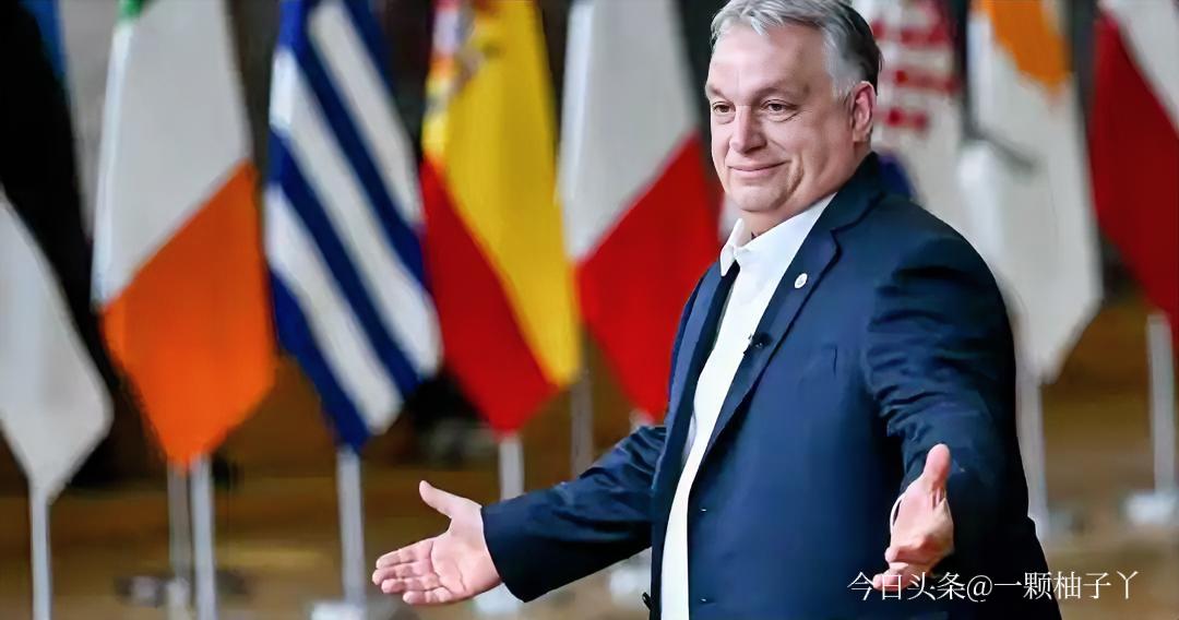 在近期欧盟峰会上，匈牙利总理欧尔班直接否决了欧盟对乌克兰的巨额援助计划，当场把其