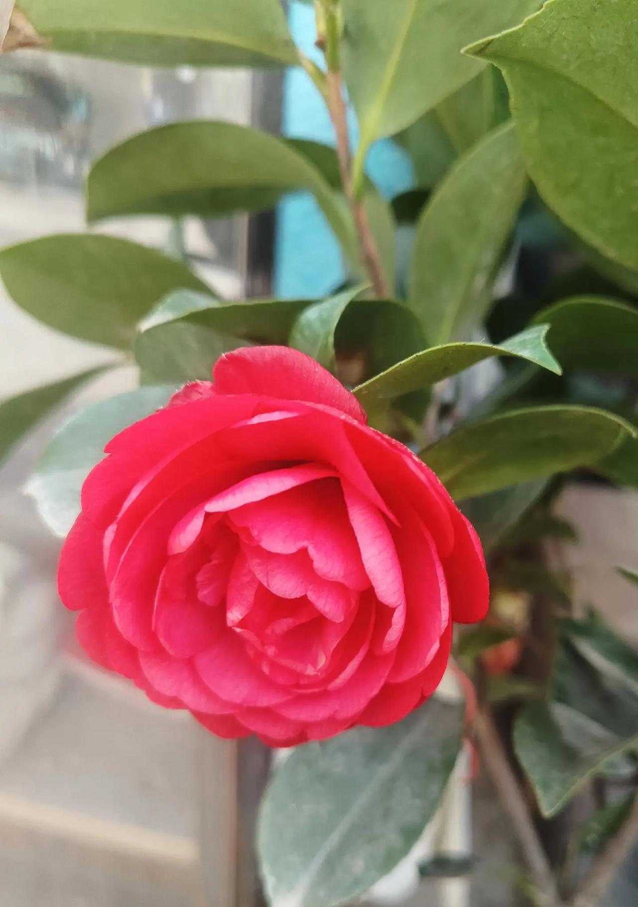 吃喝玩乐分享计划