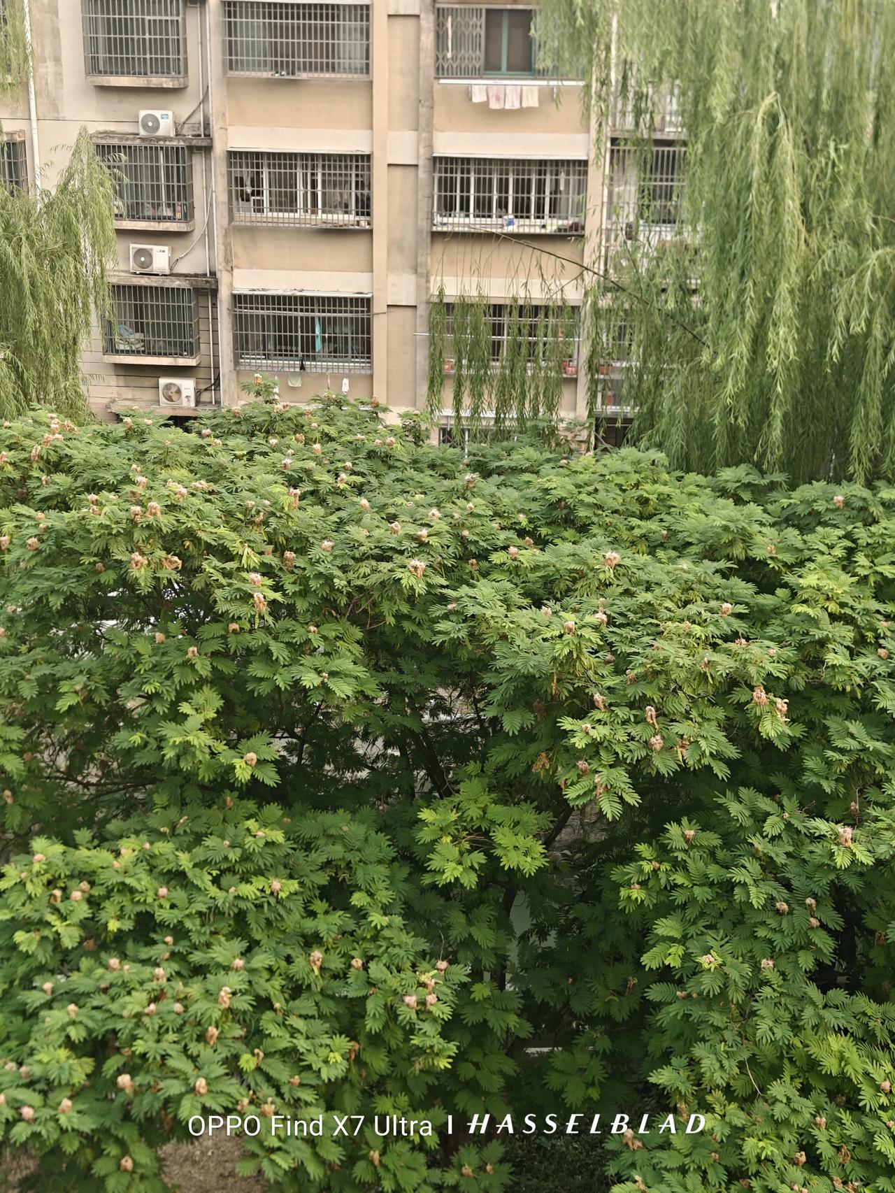我爸我妈都老了。

我爸从前不摸厨房，一切都是我妈操劳。他过着衣来伸手饭来张口的