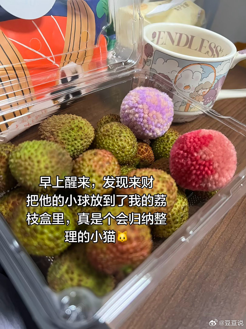 小猫合并同类项 