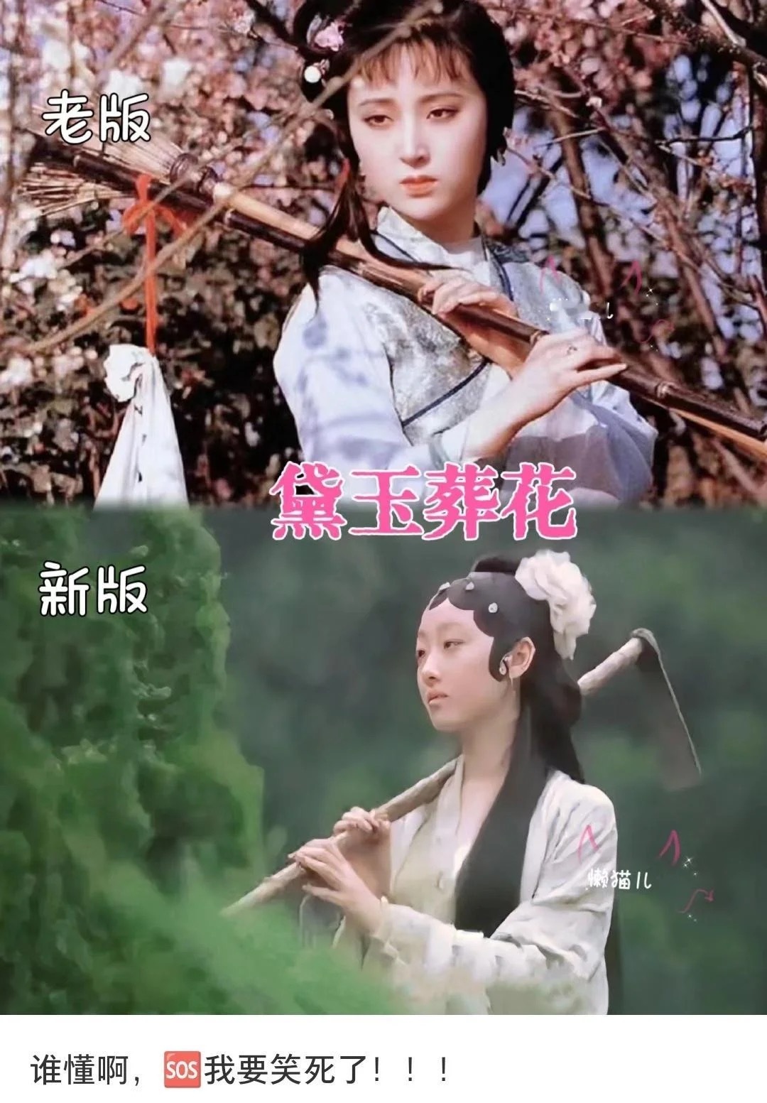 我要笑死了，谁懂啊 ​​​