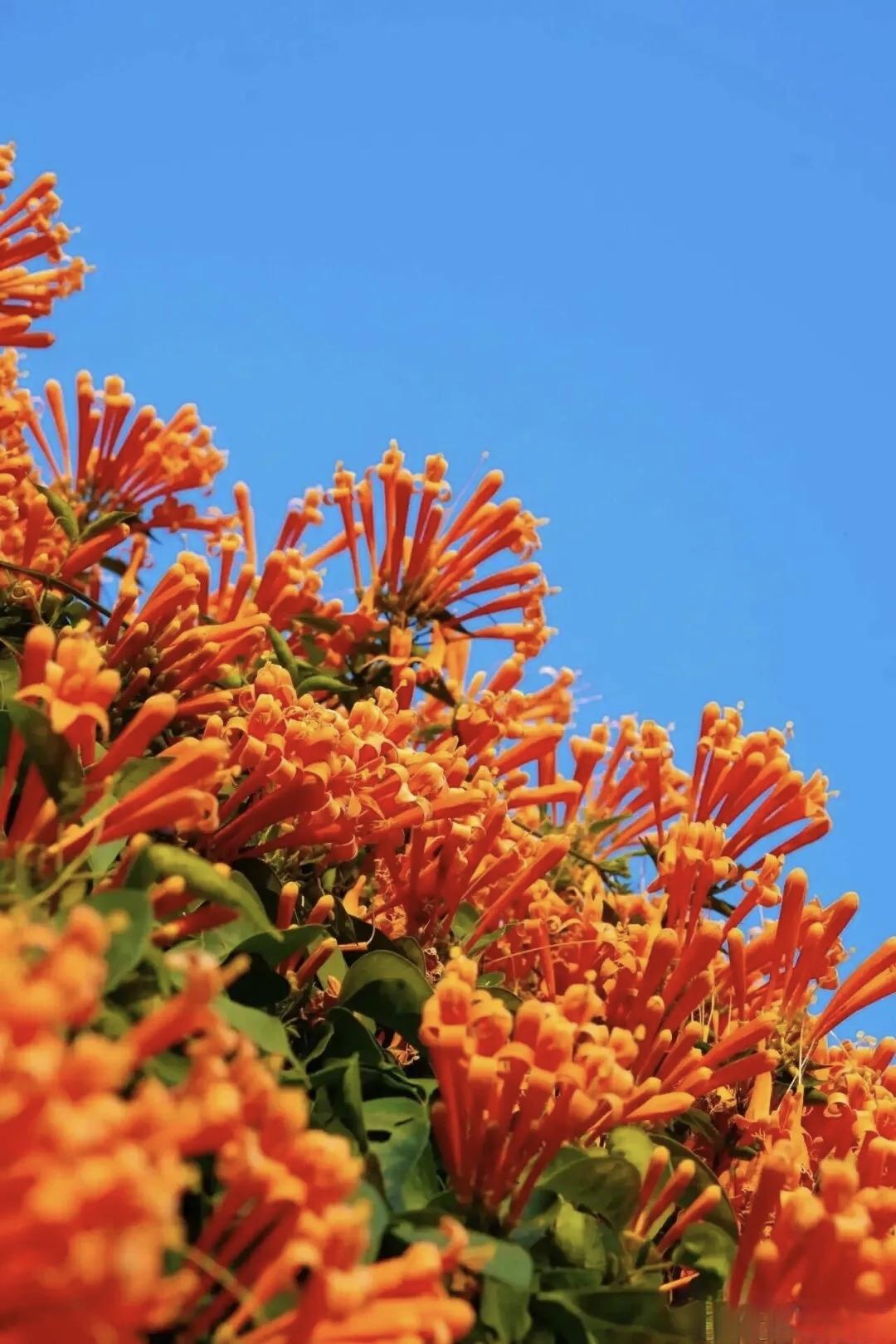 【为什么有人说“无论男女，中年以后，没有特殊经济困难，不要用时间和体力换钱”】