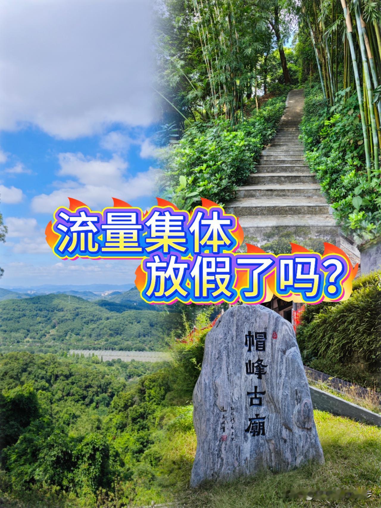 随拍｜登山方知，方知山有多高？
创作如春日登山，一路竹林青山，风景真的能治愈人心