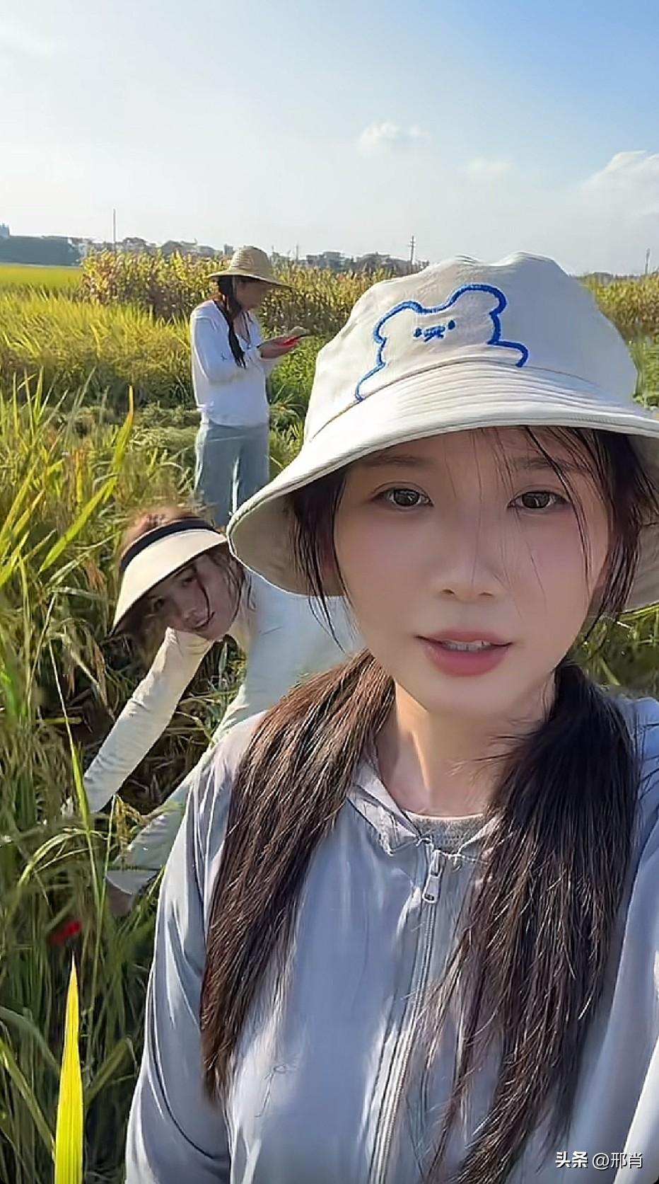 割稻子的时候就念着我，一割完稻子的时候，说我们不合适[捂脸]