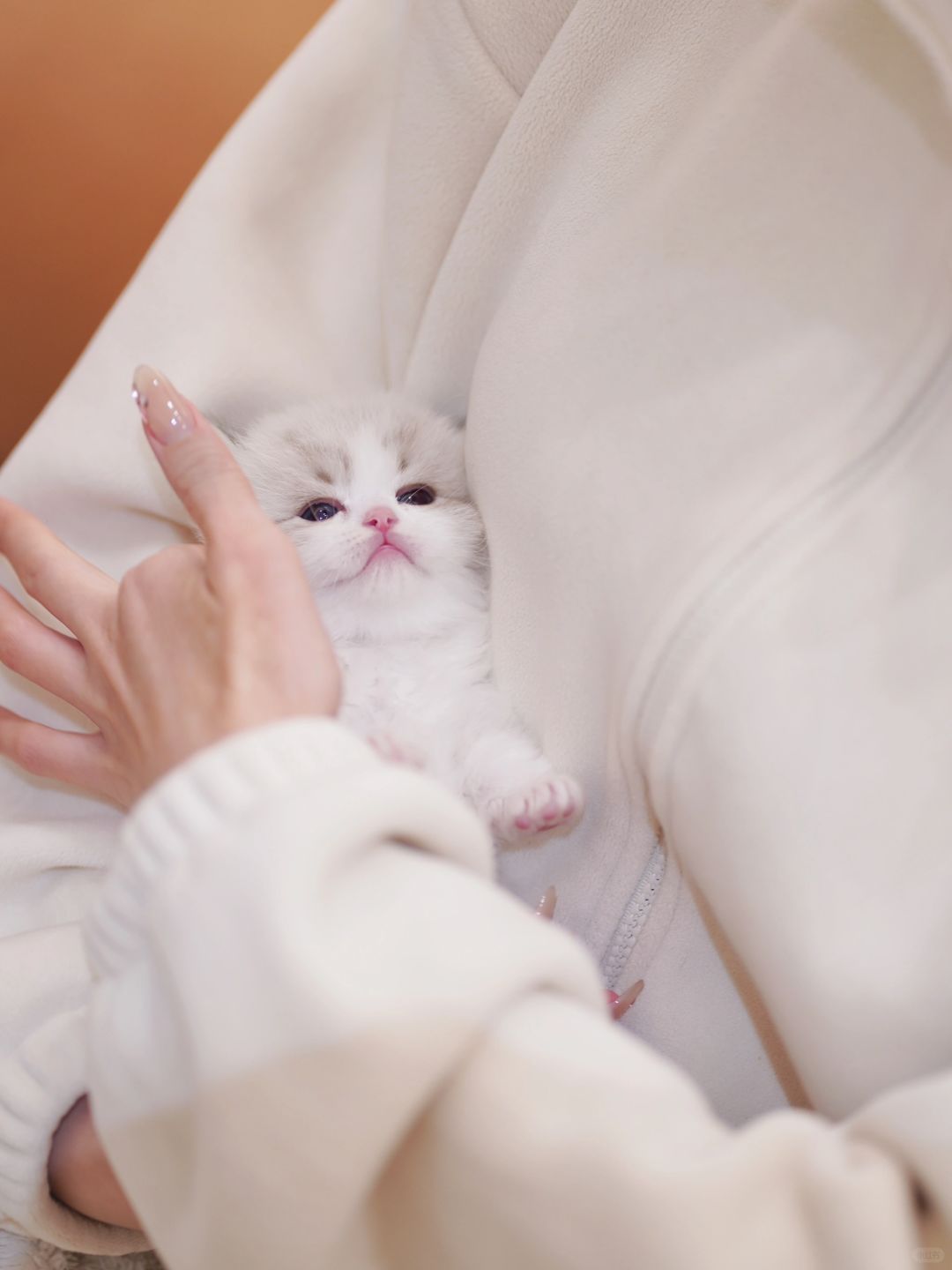 这谁家的、奶里奶气的🍼
