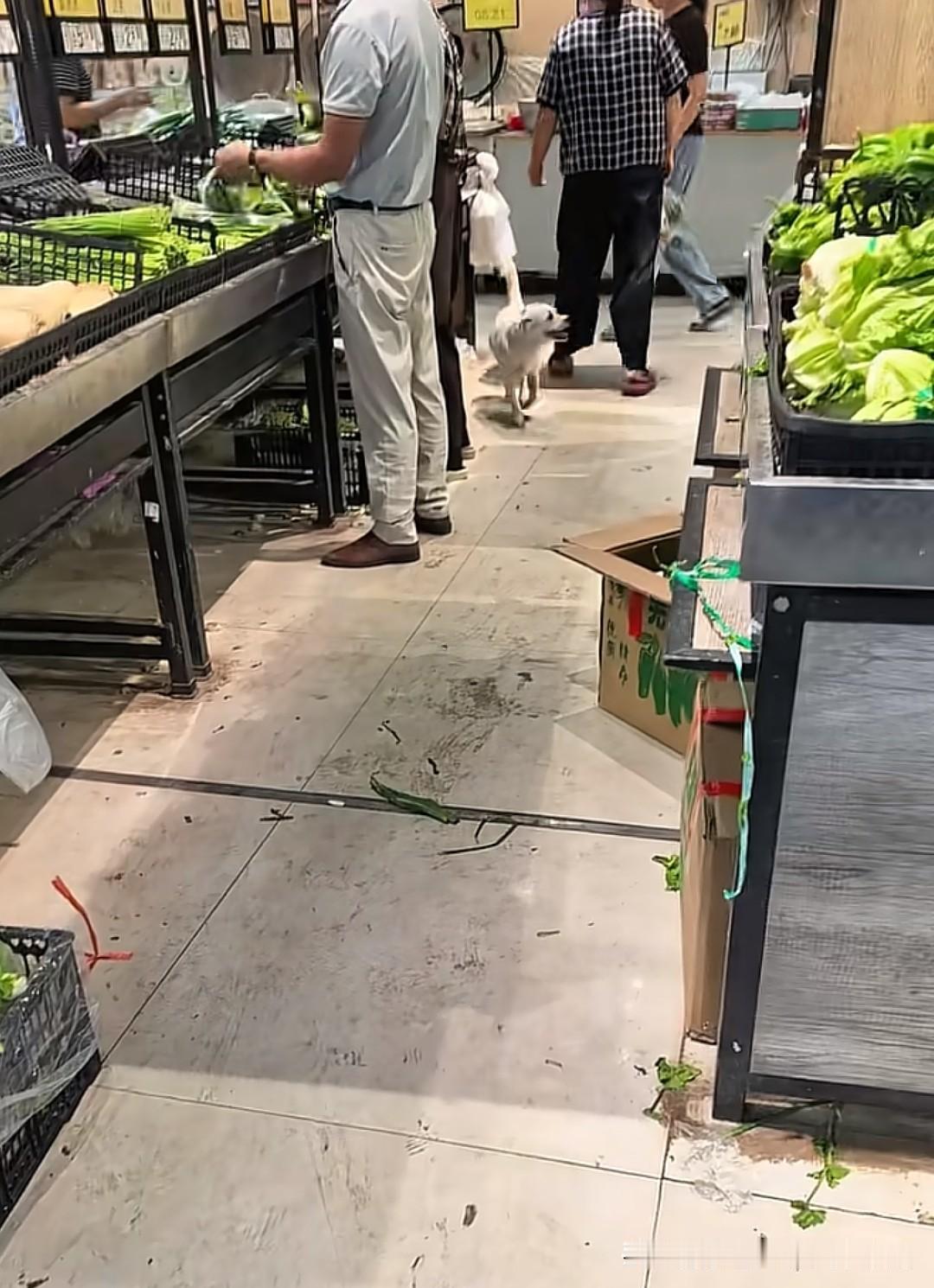江苏淮安一网友爆料称盱眙县淮河好又多超市不仅狗进店，还不止一条，甚至还有狗往菜筐