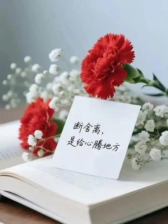 结婚仅仅五个月就走向离婚，一桩婚姻的破碎，往往不是单一矛盾造成的。邻居家的儿子，
