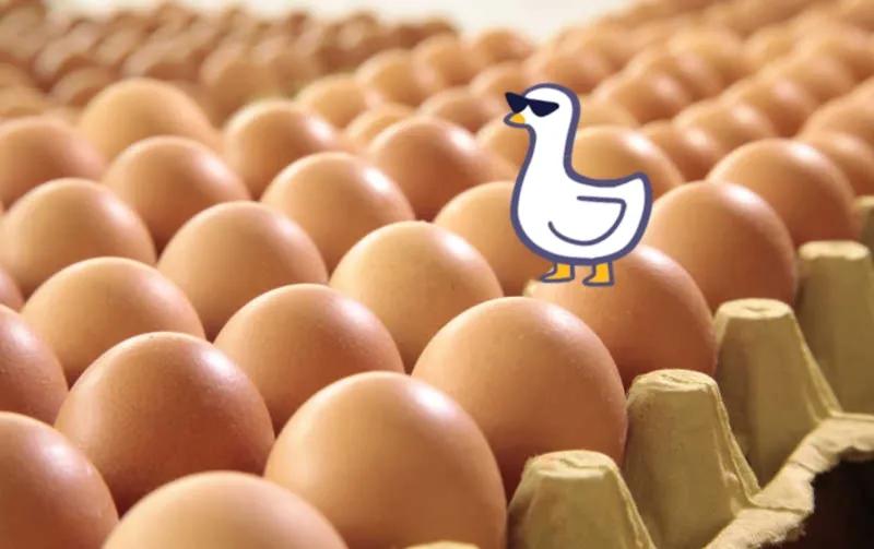 哈尔滨这卖鸡蛋的价格差距这么大么？今天下班回家路过一个小超市，问鸡蛋多少钱一斤，