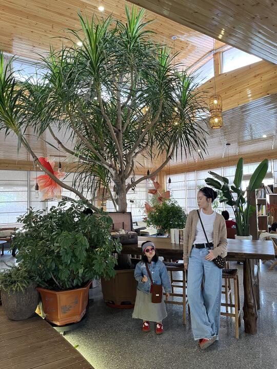 长春📍中式美学咖啡店天花板☕️逃离城市喧嚣