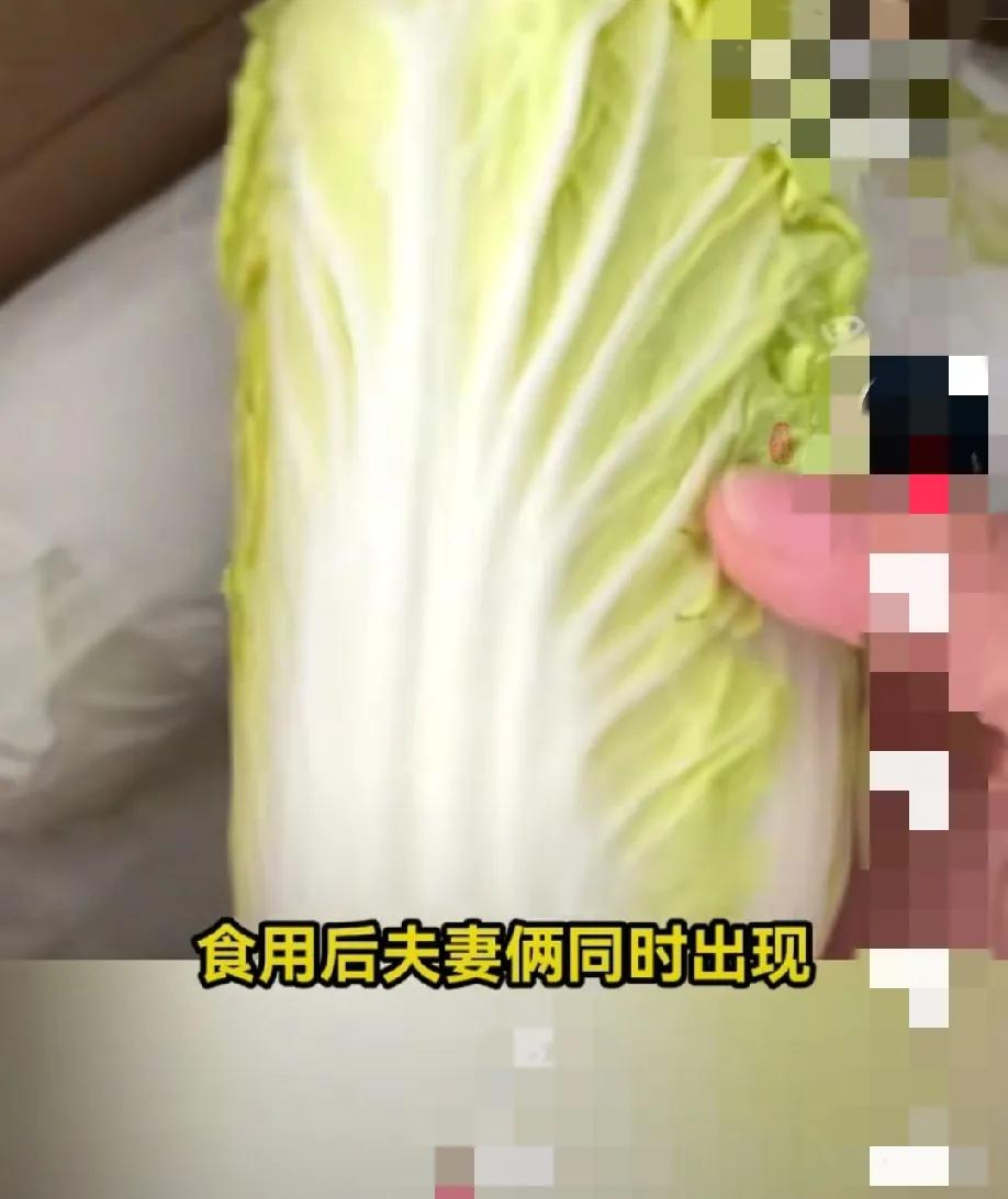 网购娃娃菜案件又要再反转？
今天下午相关媒体报道，网购娃娃菜中毒案件是丈夫投毒，