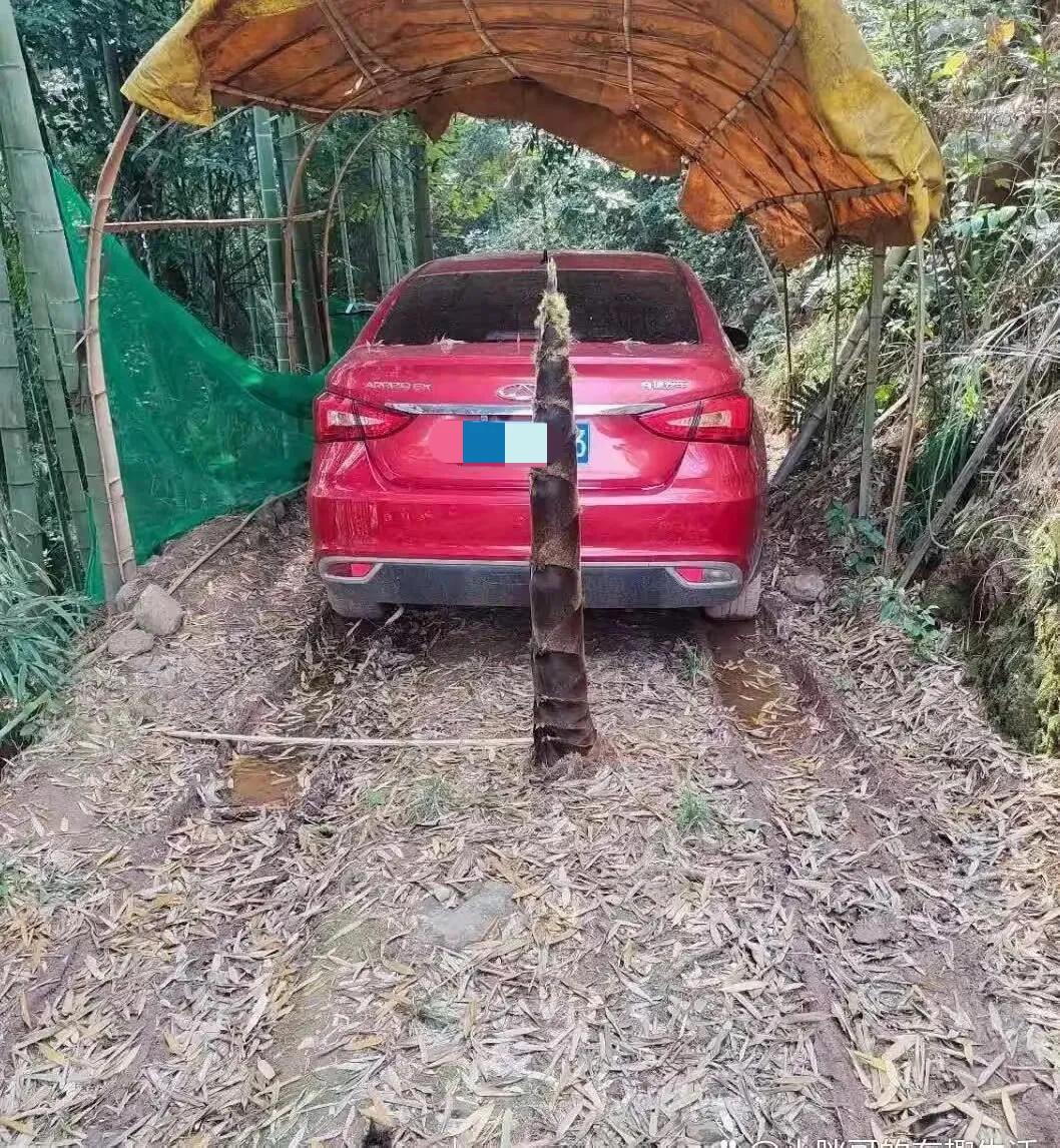 有没有懂得科普一下，这车大概停了多久呢？

不过我在想，如果车停在正上方，会不会