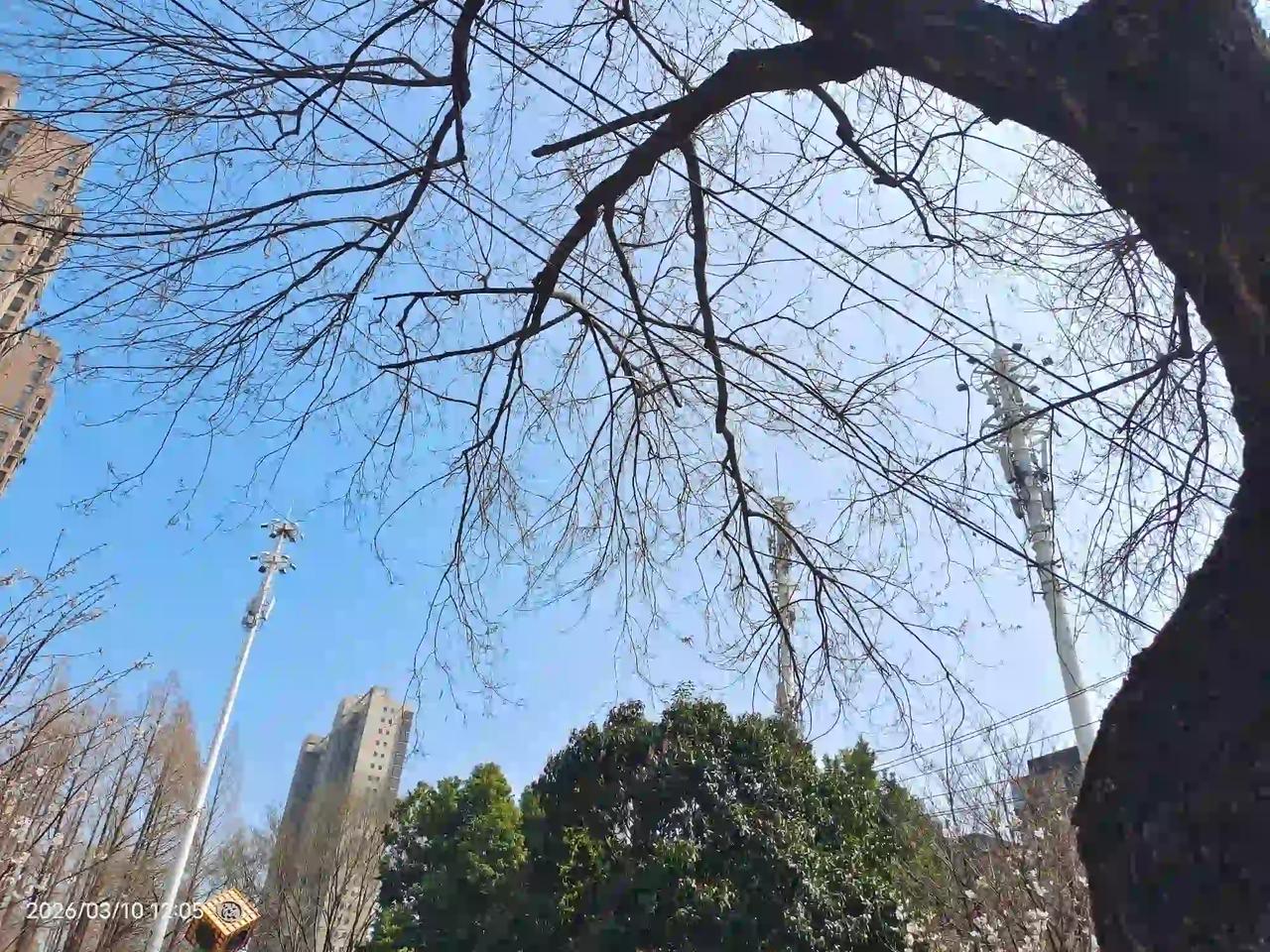 中国5G的发射塔建设得真多啊，随便一张照片里就能看到覆盖着三个发射塔，足见建设规