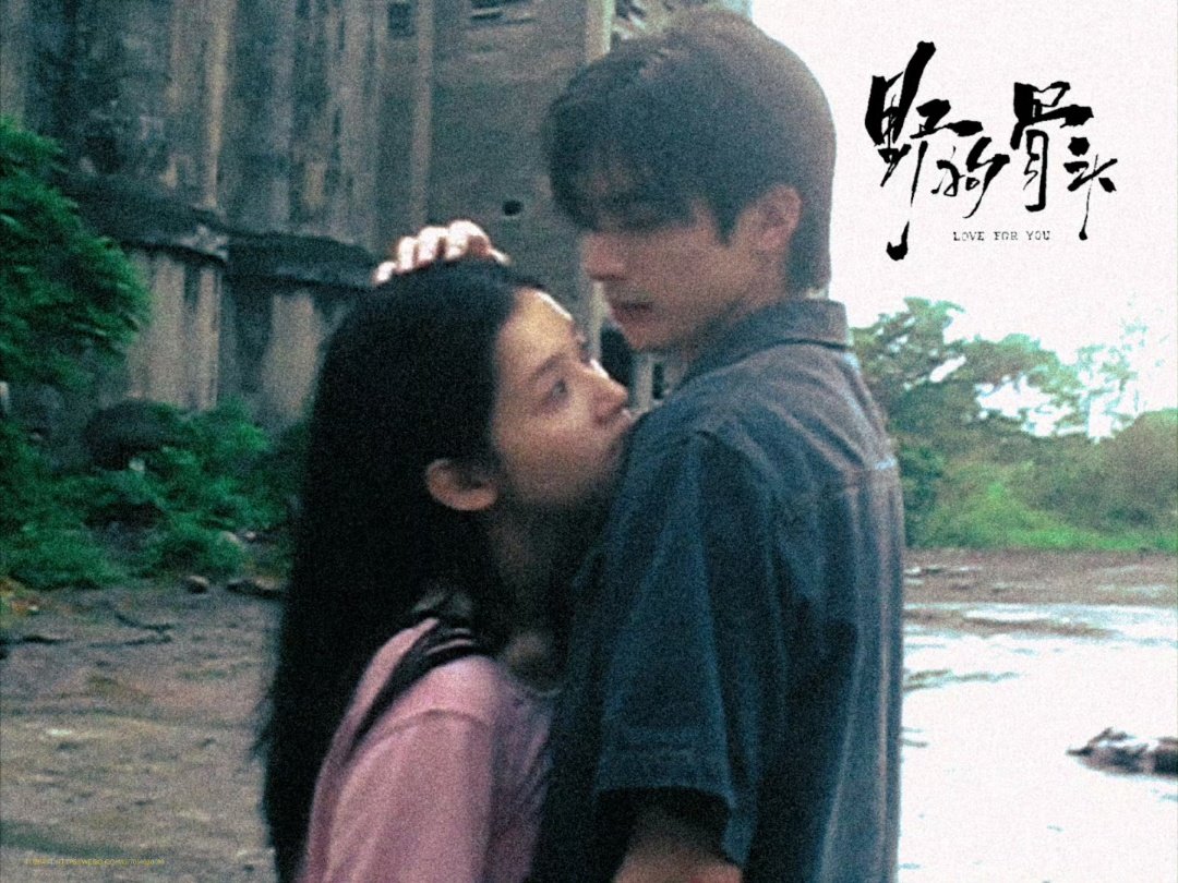 野狗骨头32集宋威龙张婧仪新剧野狗骨头过审下证，共32集，预计暑期档野狗骨头暑期