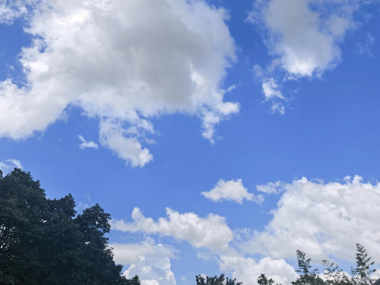 夏日生活打卡季