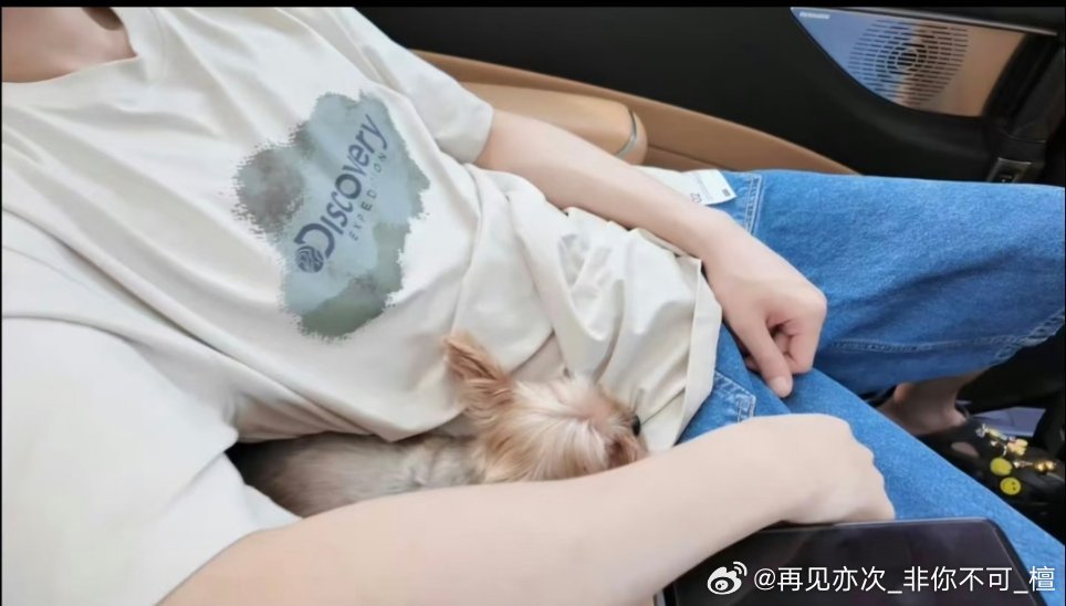 粘人小球躲在爸比上臂弯下! 