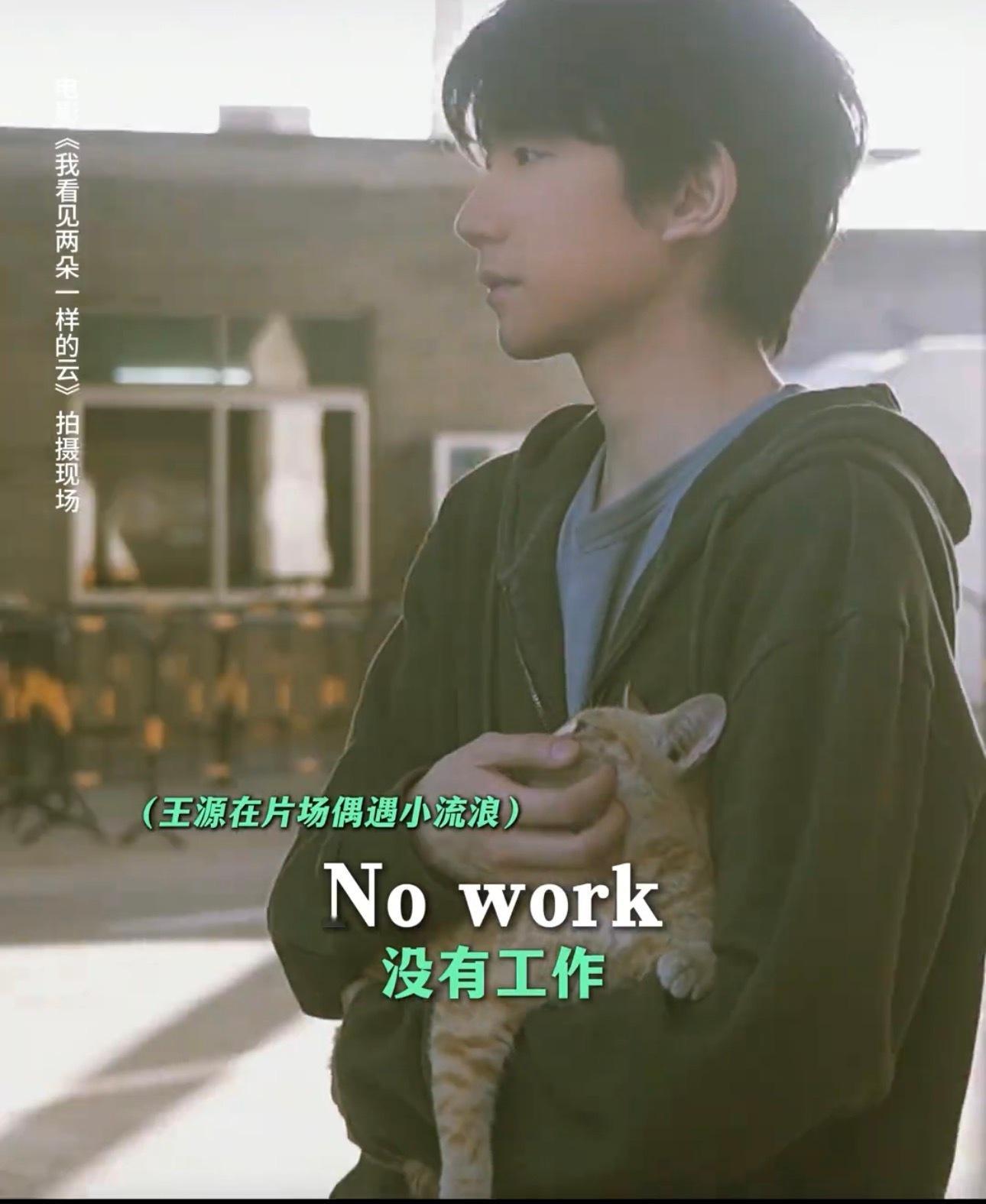 凭啥啊流浪咪就可以窝在王源哥哥怀里吗