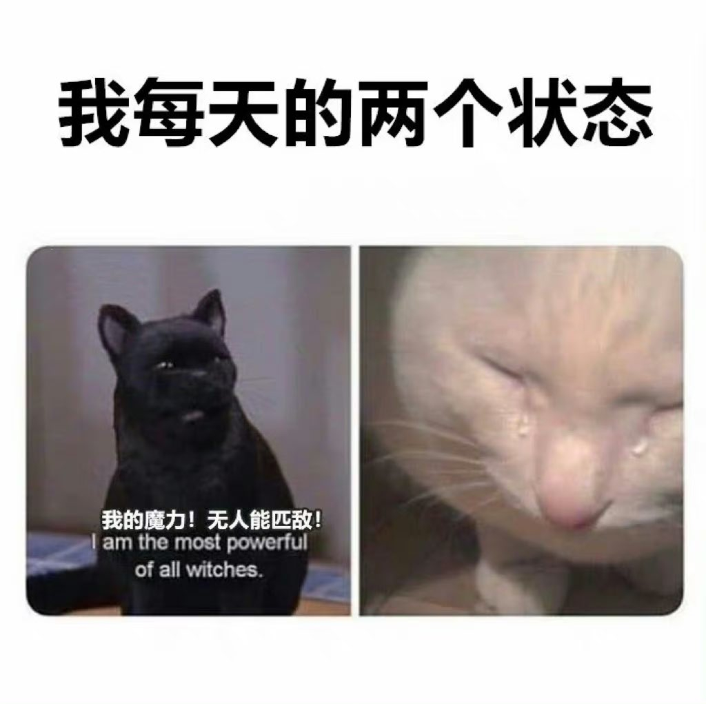 #meme# ​​​