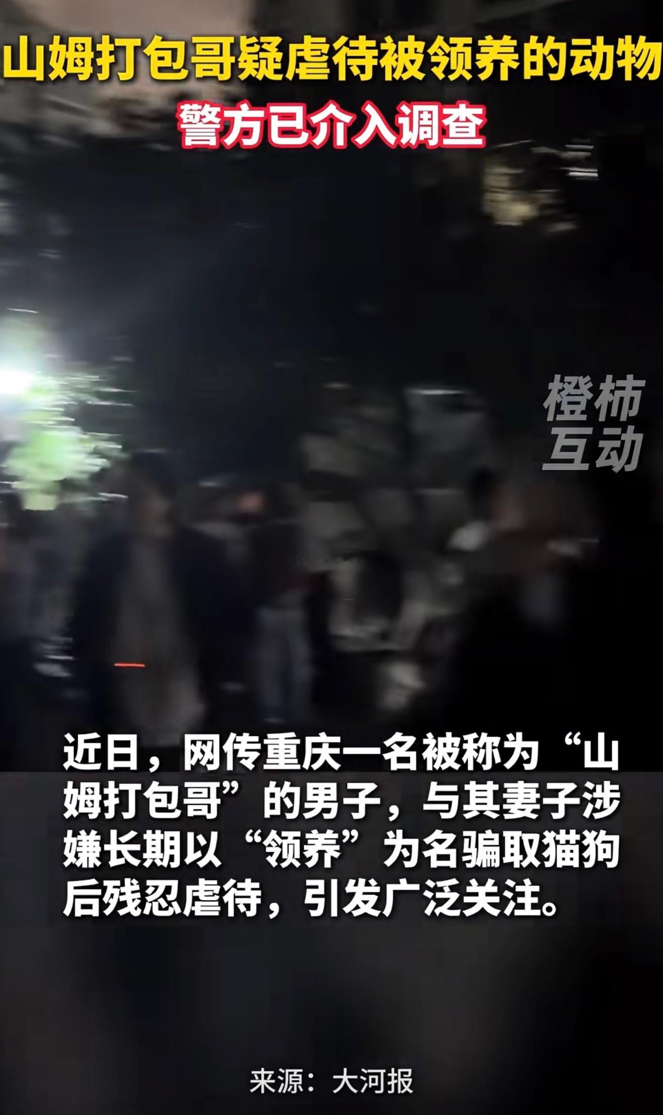 这些爱狗人士为啥去赌人家门口？虐狗是道德问题，你可谴责但不能法办，聚众是违法了吧