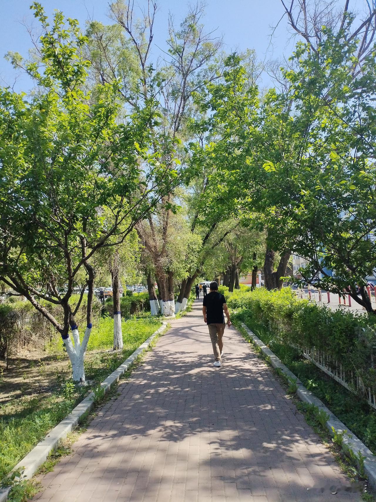 张雪是中国的好老板吗？当然是。
   他本身出身就不高，出身于平民百姓。靠自己的