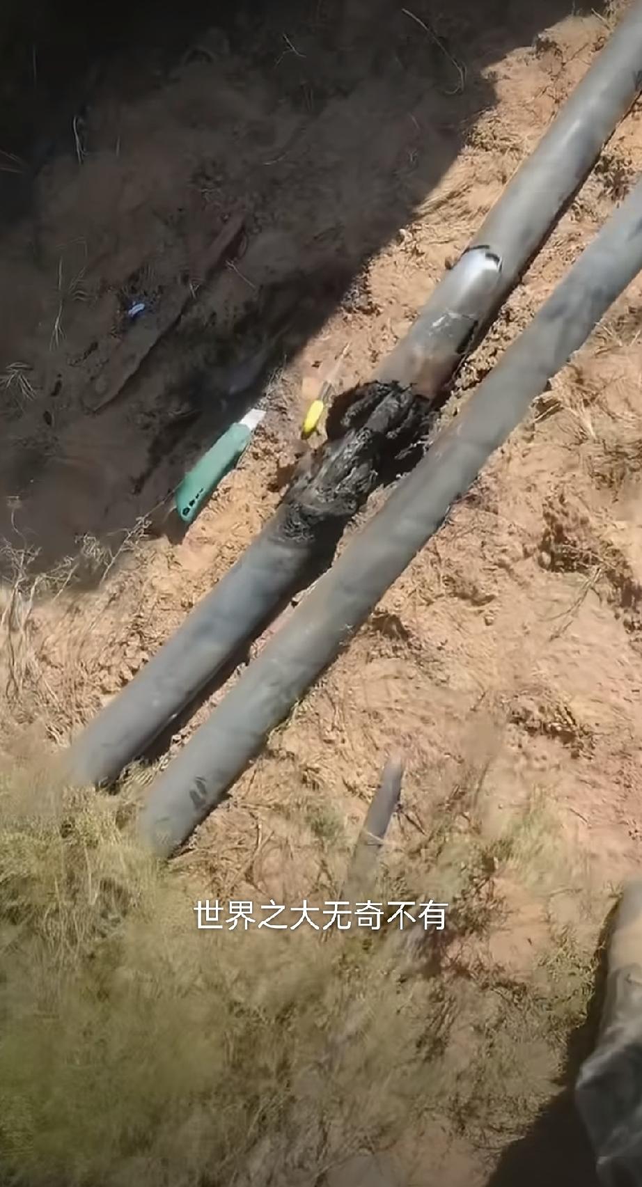 网友吐槽:世界之大无奇不有，要钱不要命，10千伏电缆也敢偷，想见太奶了……充电桩