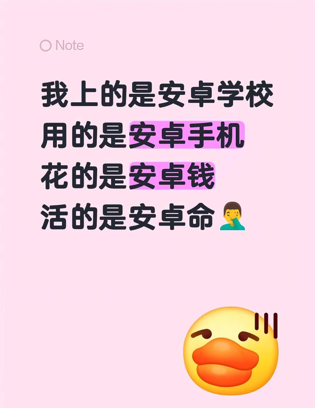 不卡的时候挺顺，一卡就怀疑人生。系统天天提醒我更新，但更新完又说内存不足。别人i