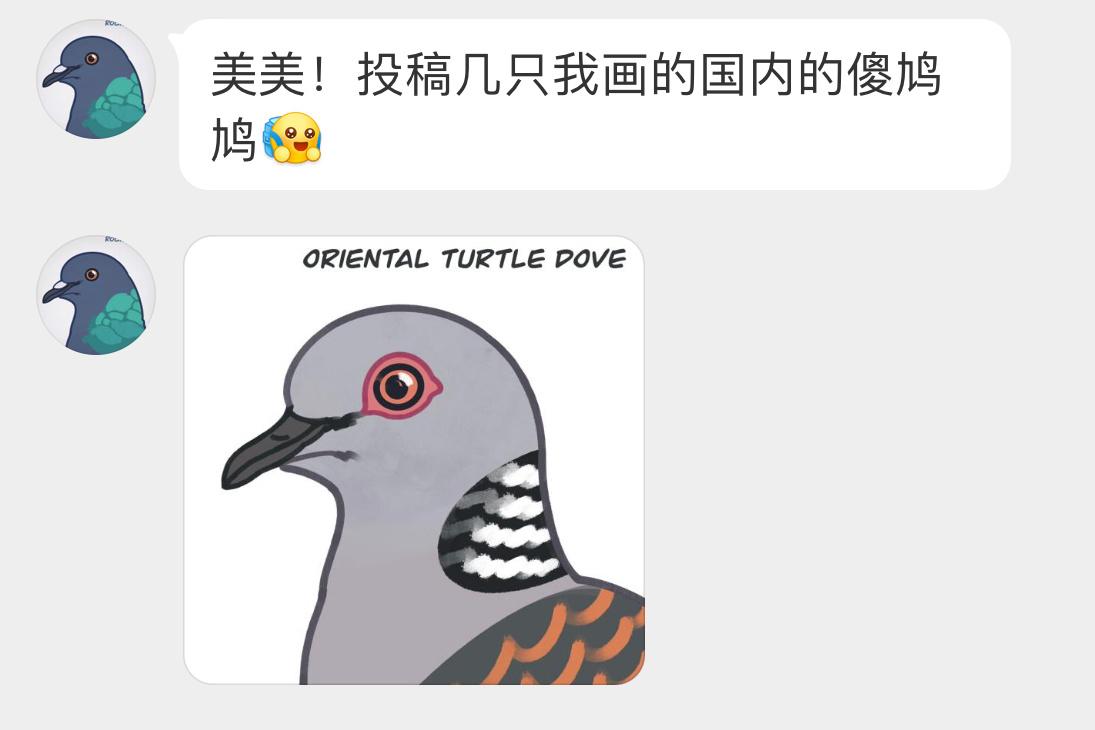 #小天才的鸟类绘画# 国内的咕咕们！山斑鸠、珠颈斑鸠灰斑鸠、火斑鸠、鸥斑鸠、棕斑