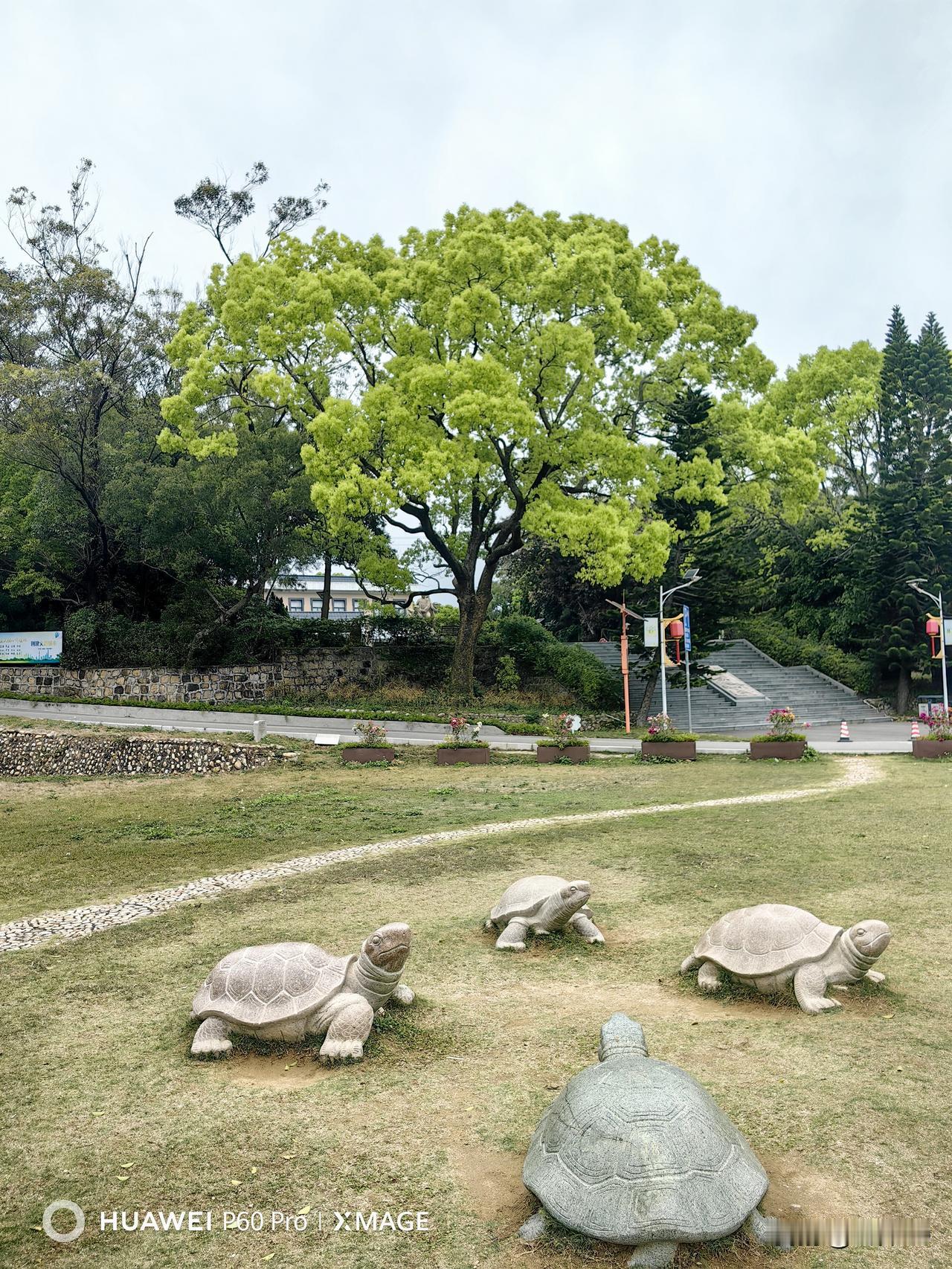 人人终其一生，都在追寻快乐。很多人误以为快乐是惊天动地的收获、遥不可及的目标、事