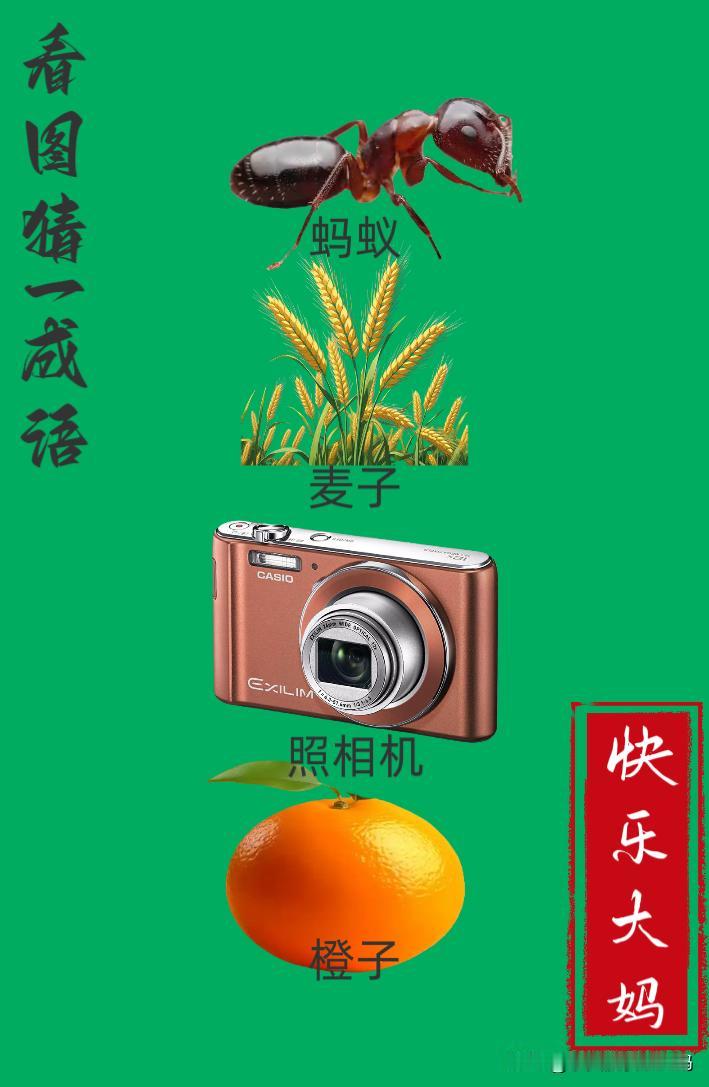 锻炼大脑，激活知识储备，发挥个人的聪明才智，我们共同努力，把传统汉语文化传承下去