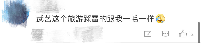 #武艺 旅游踩雷#武艺真的太有意思了，讲踩雷经历的时候让我感觉这不就是我吗？简直