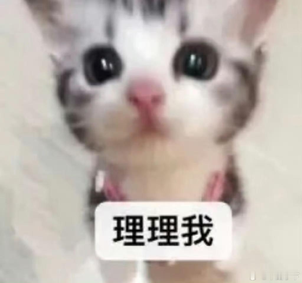 小培姐，于正，王一栩，郭敬明这四个重要的主创，如果非要选一个的话，你们是不是选于