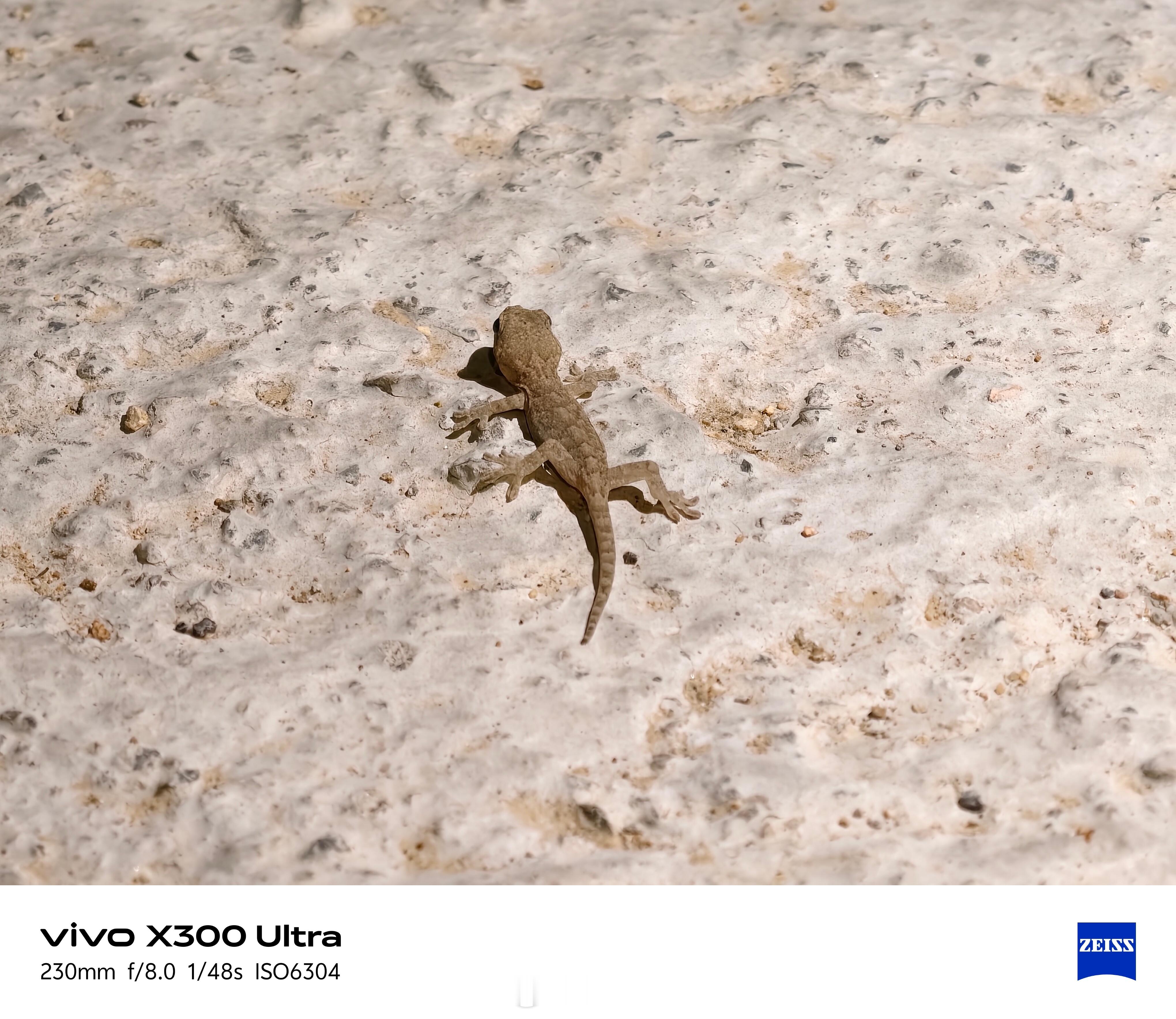 要是x300ultra最近对焦距离再近一些就好了 