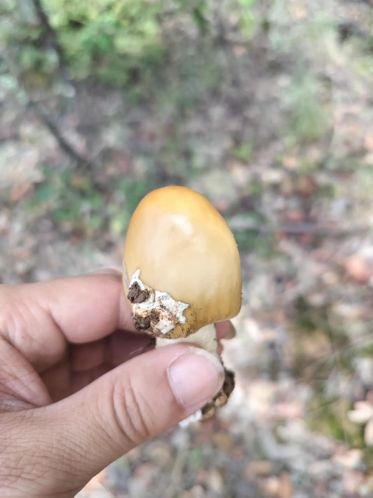 夏日生活打卡季中大乐透一等奖