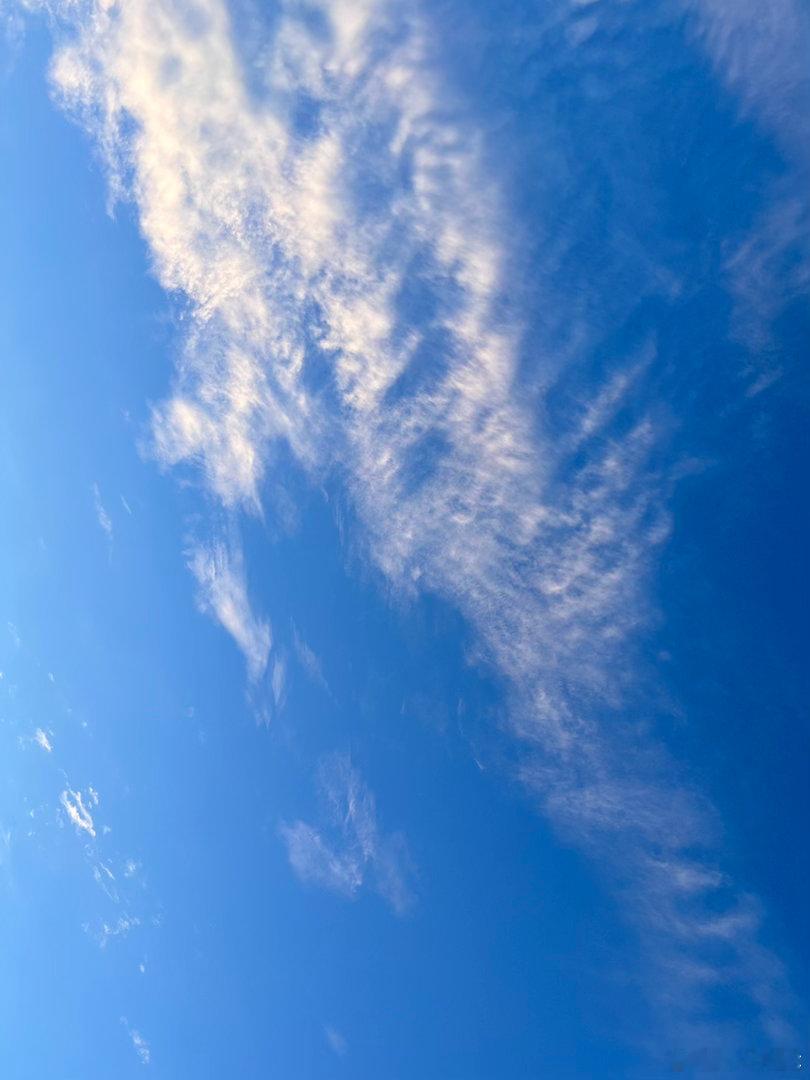 成都浣花溪非常绚烂的景色出门就能见到一处风景相对于在屋里待着出去走走挺好  ​​