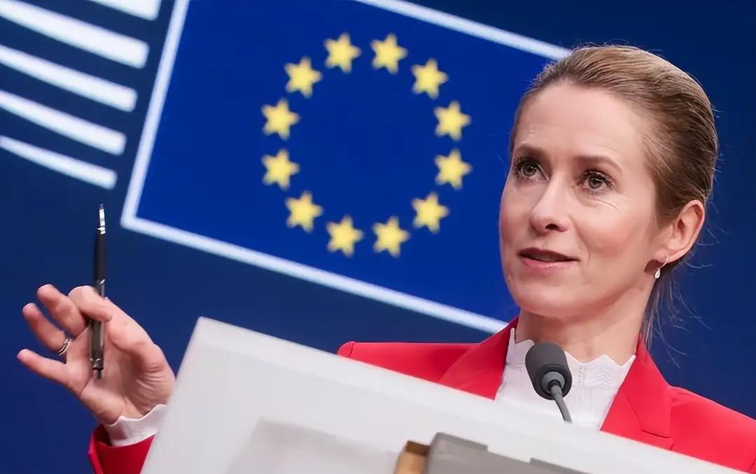 欧盟清醒的领导人太少了，欧洲的荣光仅剩余晖。
           近日，欧盟外