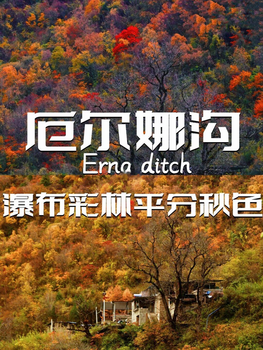 厄尔娜沟｜当彩林遇上瀑布～