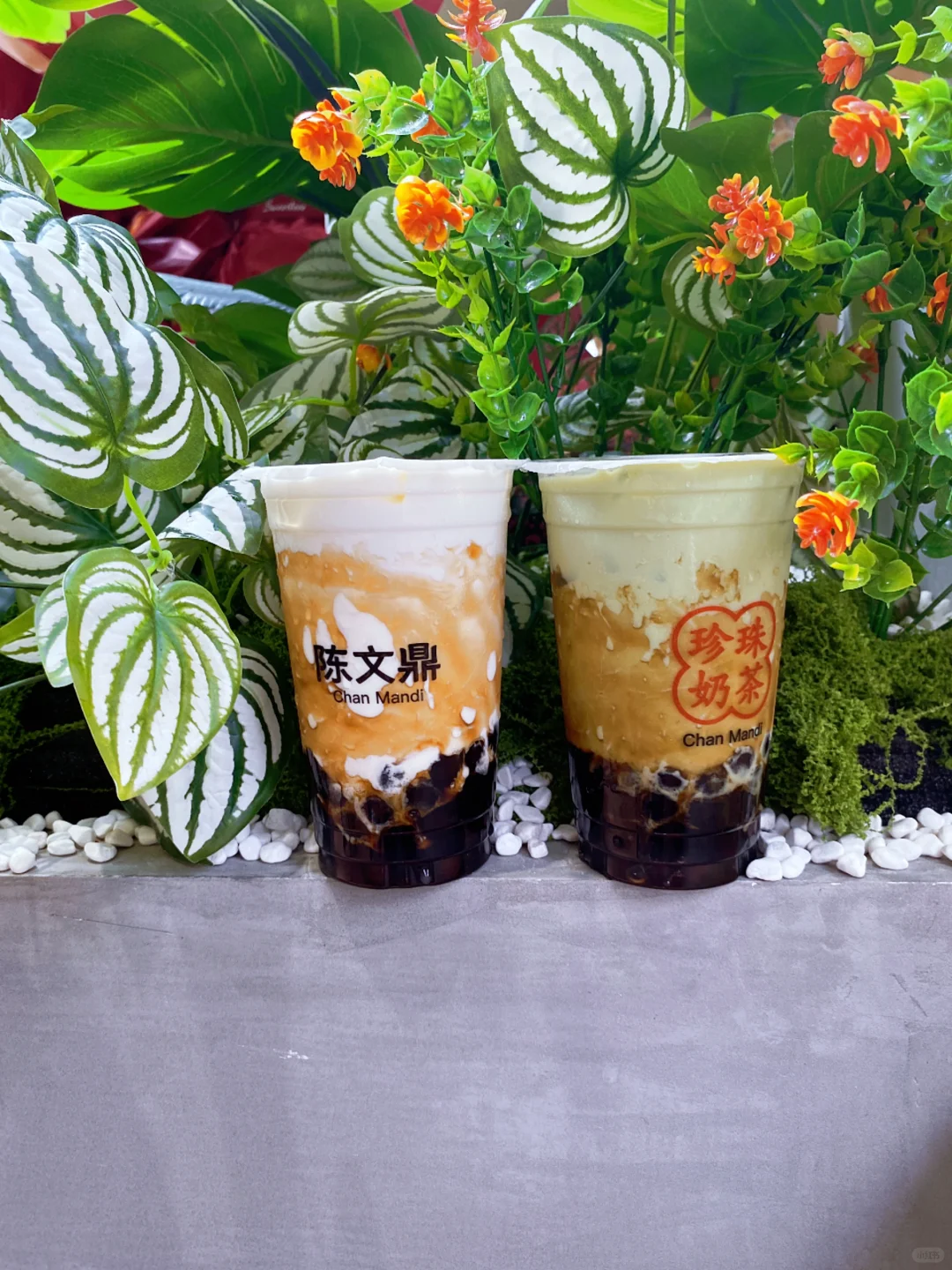 成都的奶茶届又开新店了