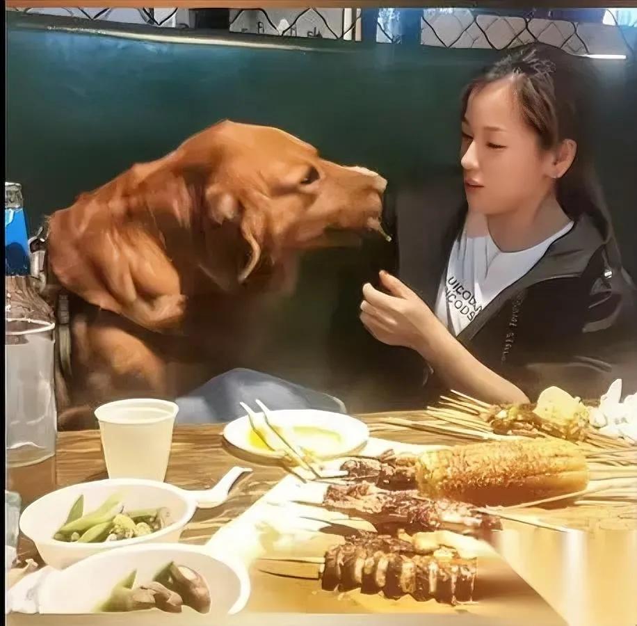 又有饭馆要挨骂了。

这事搁谁都闹心。

你敢信有人带着大狗狗进烤串店，直接举着