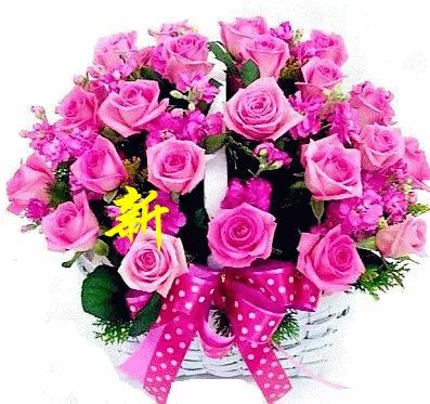 把最美的花朵送给温瑞博，小伙子值得拥有。休息调整好，再次迎接更艰苦的比赛。林昀儒