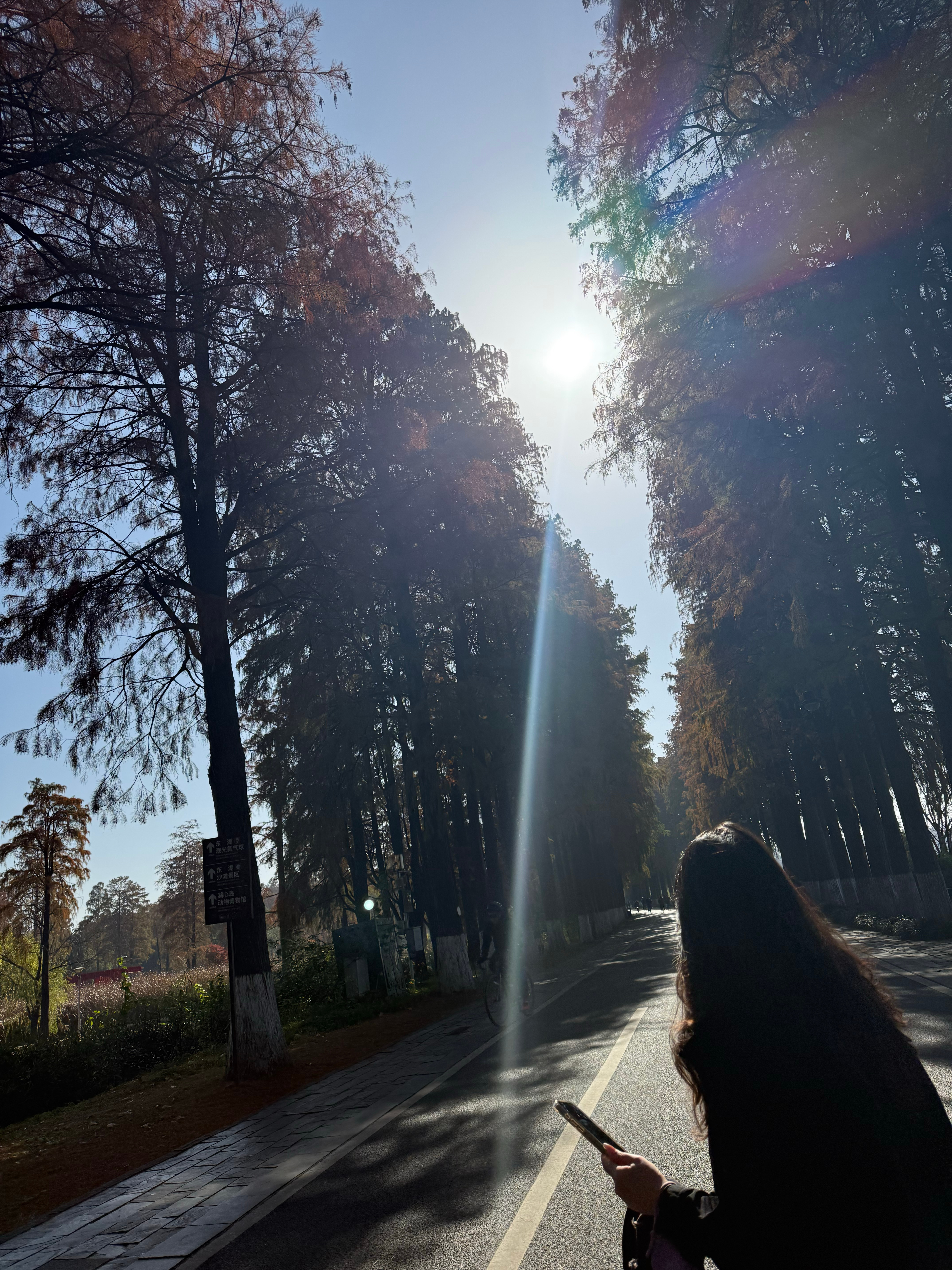 I don‘t care,想发就发 