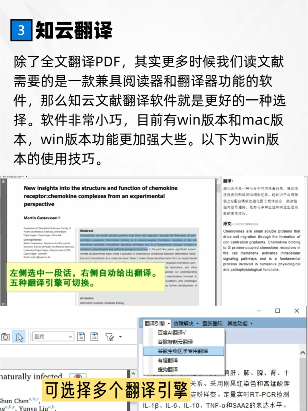 别怕，医学人也有自己的PDF翻译器啦~📃