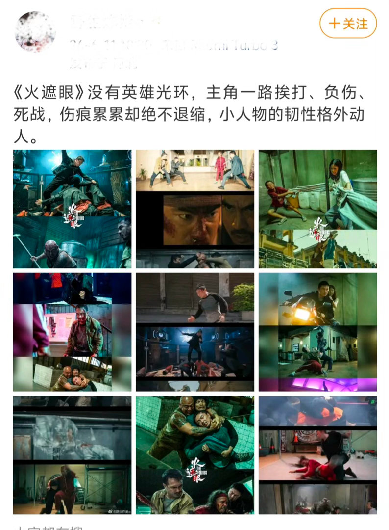 电影院又上了一道硬菜火遮眼真是一道硬菜 打戏的质感是近几年动作片里少见的。《火遮