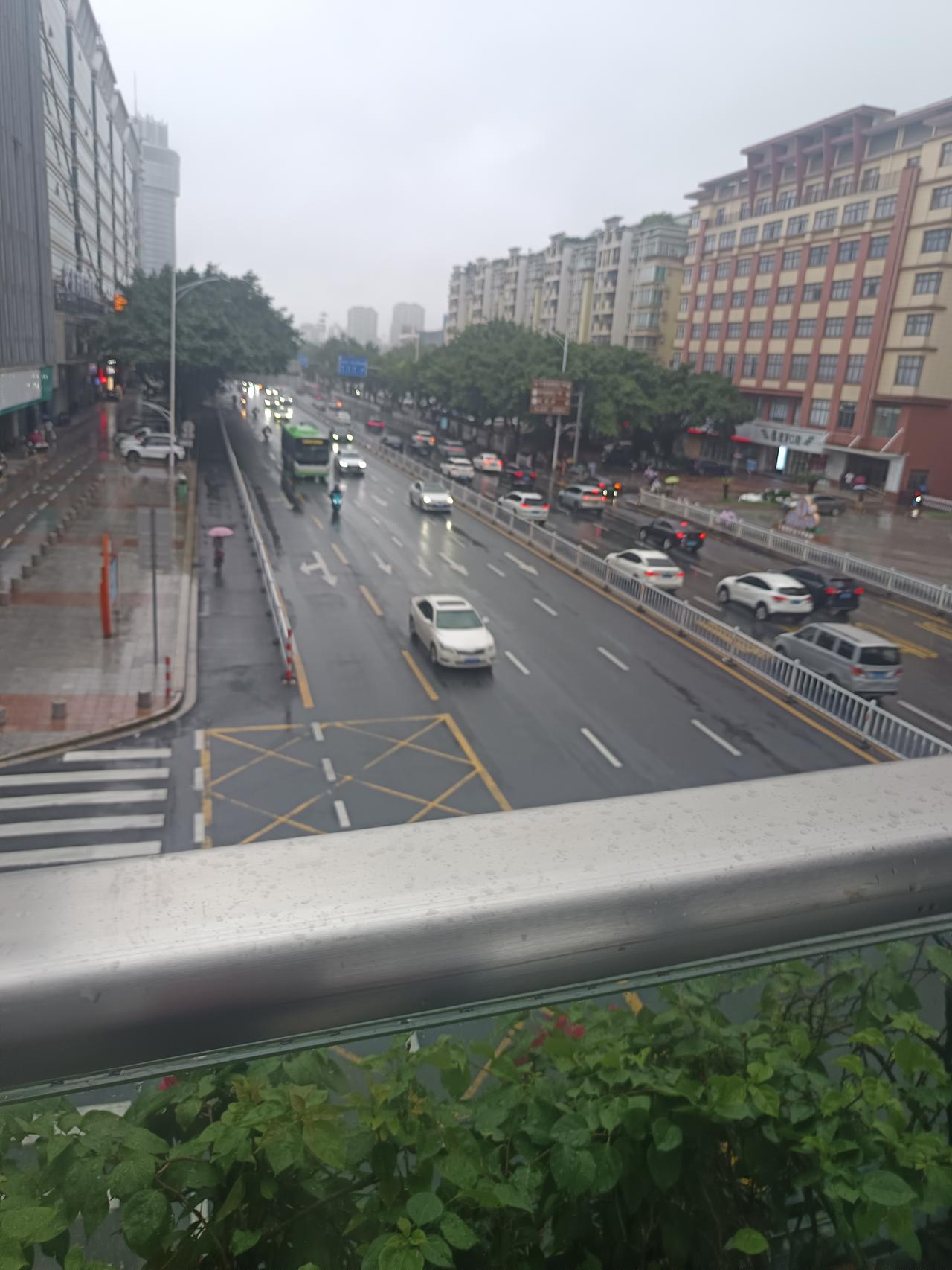 我在端州四路天挢上面
发现一个很严重的问题
但不知道怎么说才好




你敢相信
