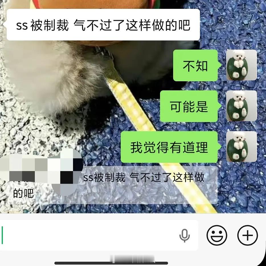 有道理不？左航 撞人 ​​​